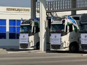 Узбекистан отправил Ирану гуманитарку на фоне войны