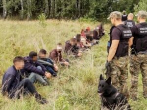 Польские пограничники задержали беженцев из Афганистана на границе с Литвой