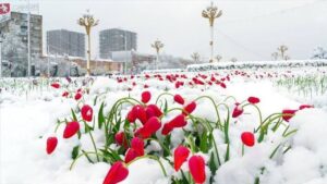 В Таджикистане ожидается резкое похолодание и снег в горах